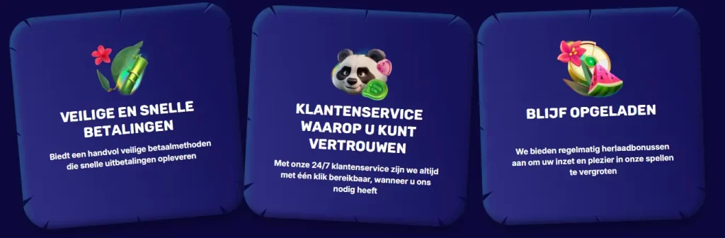 Spin Panda Casino App